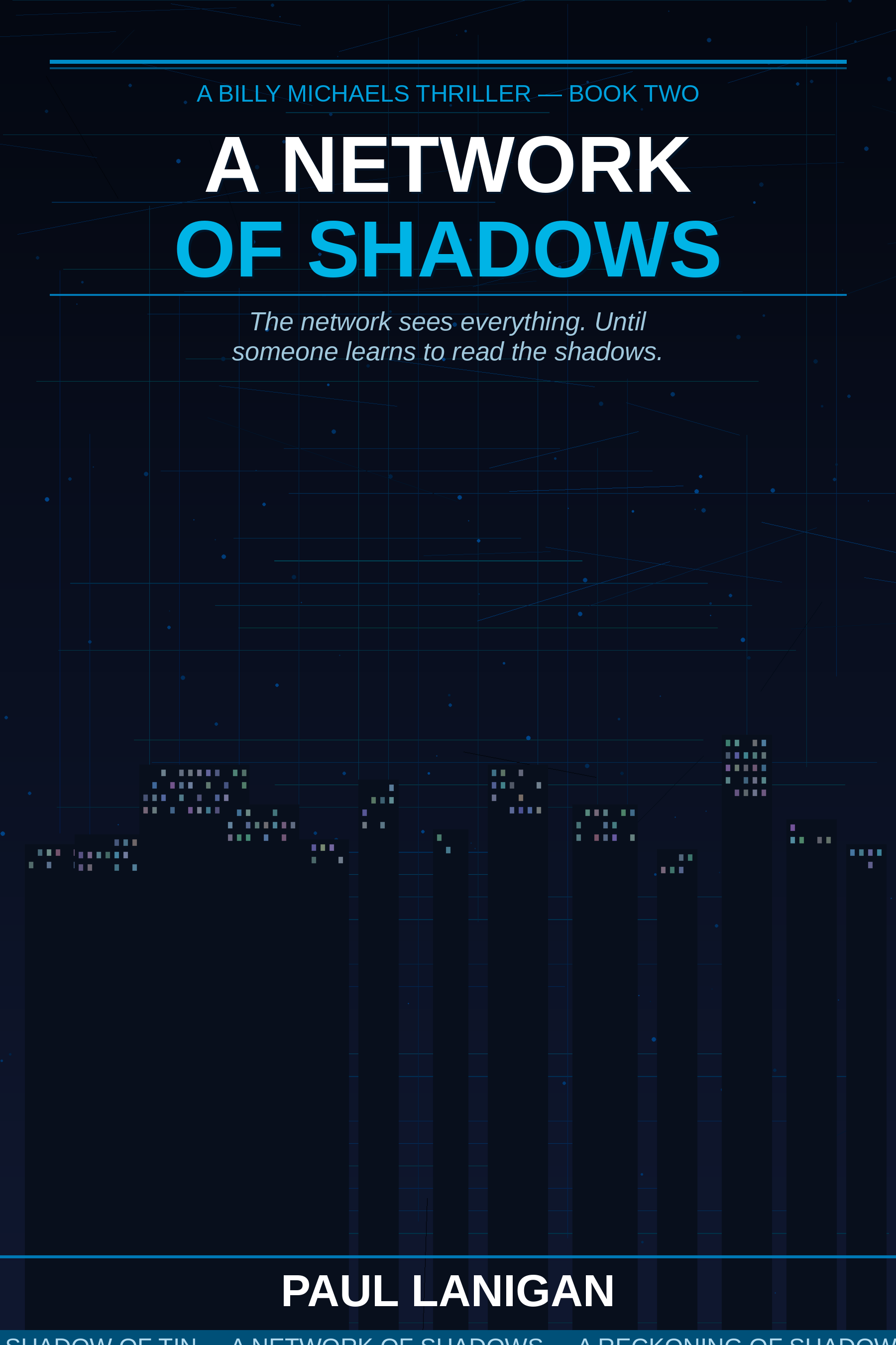 A Network of Shadows book cover